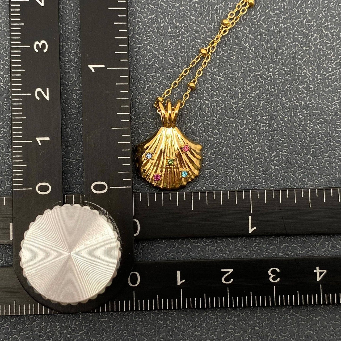 Scallop Charm Necklace
